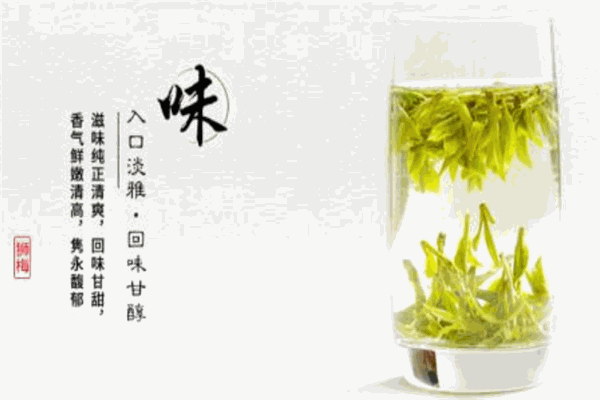 獅牌西湖龍井茶加盟