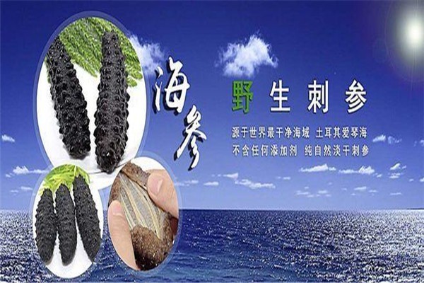 匯海佳海參海產(chǎn)品加盟