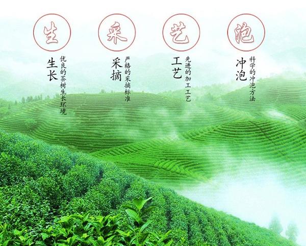 仙福茶葉