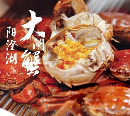 陽(yáng)澄湖大閘蟹