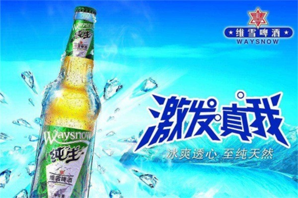 維雪啤酒加盟