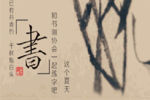 筆昂書畫教學(xué)平臺加盟