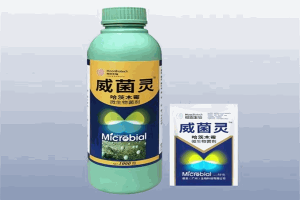 邦邦有害生物防治