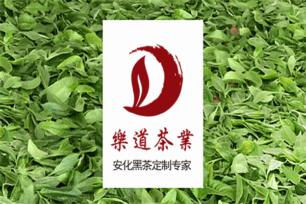 樂(lè)道茶業(yè)加盟