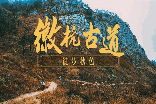 帶路旅游網(wǎng)加盟