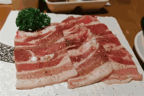 雙子大阪燒肉加盟