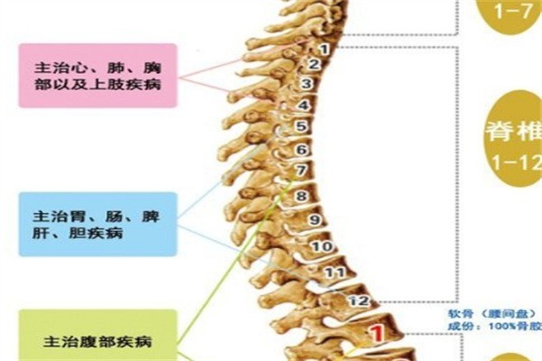 脊動(dòng)力健康管理中心加盟