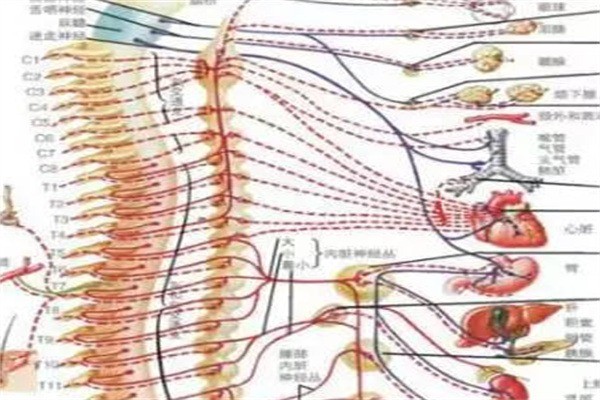 脊動(dòng)力健康管理中心加盟