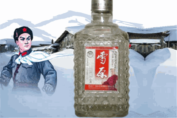 雪原酒業(yè)加盟