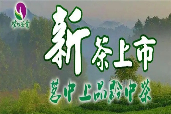 紫日茶業(yè)加盟