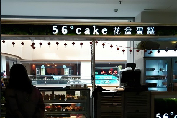 56度cake花盆蛋糕加盟