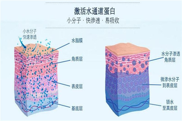 美衡生化妝品加盟