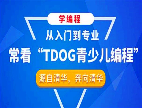 TDOG青少兒編程加盟