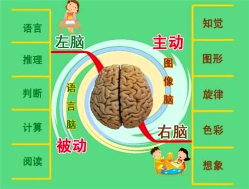 張介公記憶力培訓(xùn)加盟