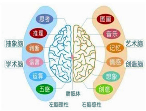 四維教育加盟