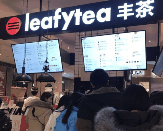 leafytea豐茶