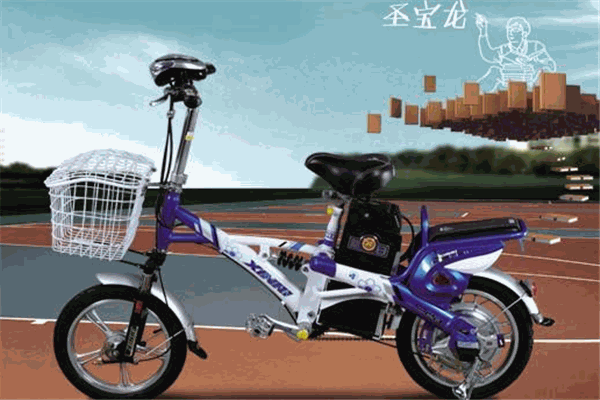 圣寶龍電動(dòng)車加盟