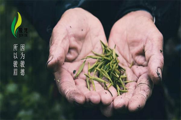 駿德茶葉加盟