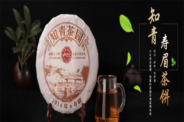 大沁白茶加盟