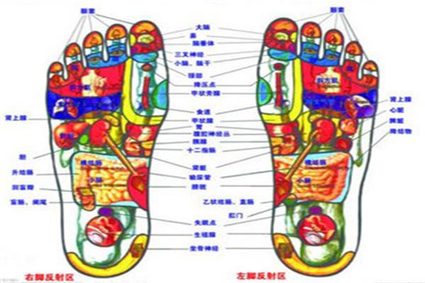 鄭遠遠足療加盟