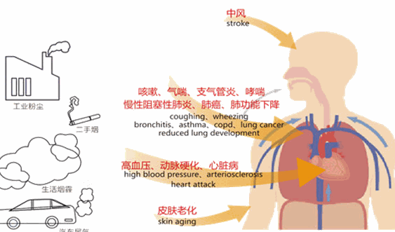 Mollyhouse兒童健康管理中心