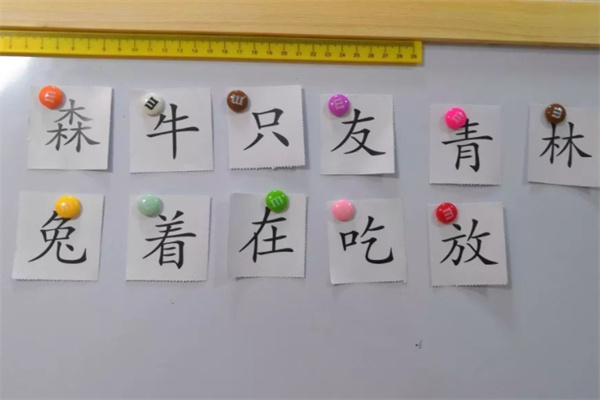 旺旺龍拼擺識(shí)字加盟