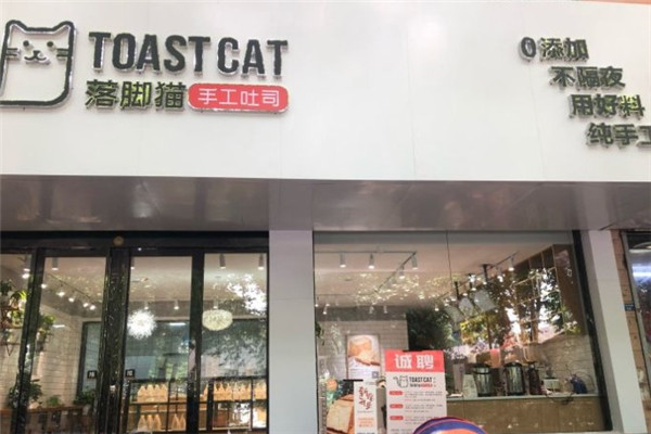 TOAST CAT落腳貓手工吐司