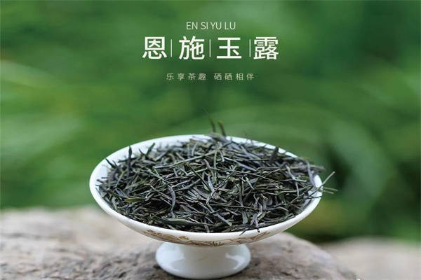 恩施玉露茶葉加盟