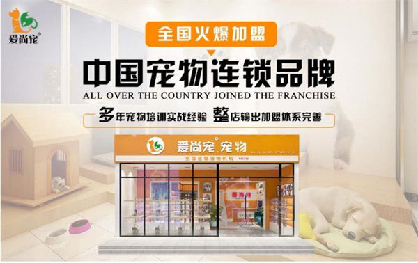 愛尚寵寵物店