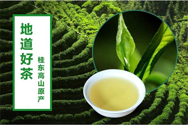 桂東玲瓏茶