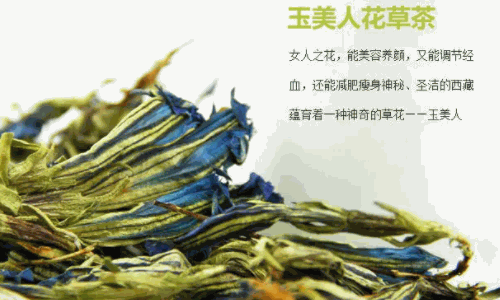 楚美人花草茶