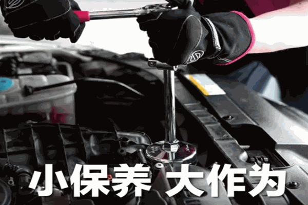 兔博士汽車(chē)保養(yǎng)加盟