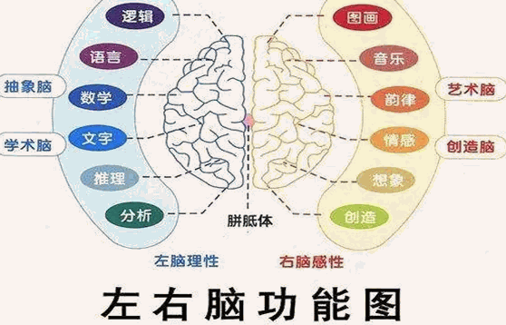 銘星全腦開發(fā)店怎么樣?一起來看看