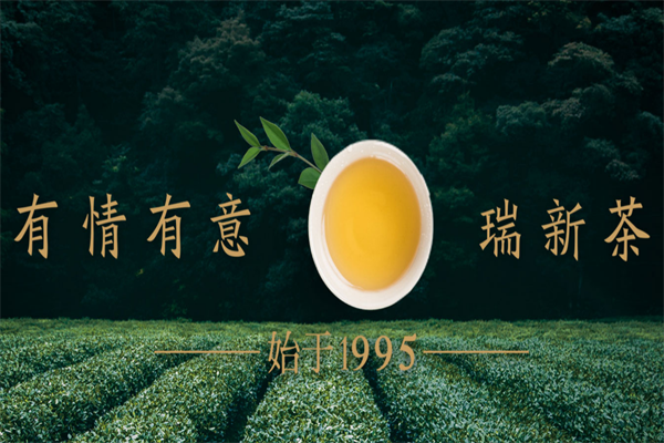 瑞新茶業(yè)