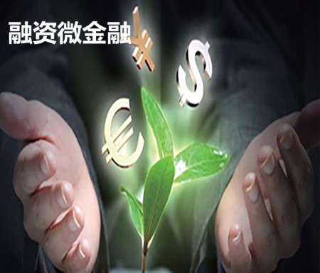 融資微金融加盟