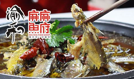 麻麻魚府加盟