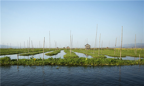 華中鑫農(nóng)養(yǎng)殖加盟