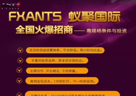 FXAnts蟻聚